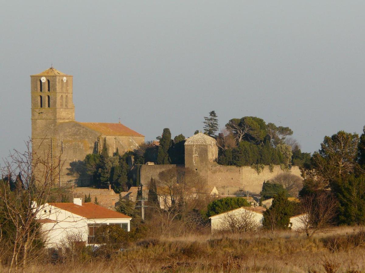 Chateau De Puicheric Kültér fotó